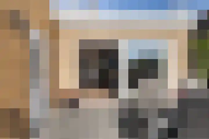 Mounewei 31 Twijzel thumbnail 26