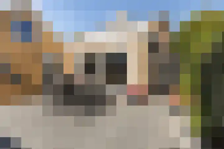 Mounewei 31 Twijzel thumbnail 27