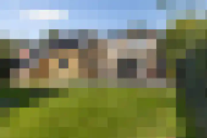 Mounewei 31 Twijzel thumbnail 28