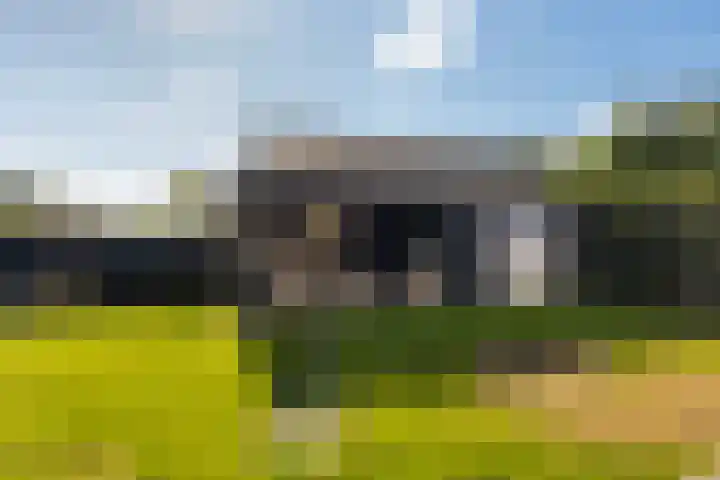Mounewei 31 Twijzel thumbnail 29