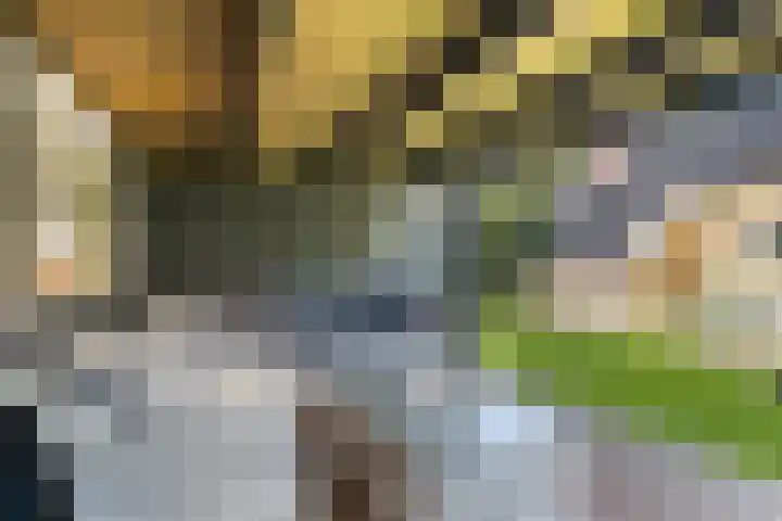 Mounewei 31 Twijzel thumbnail 31