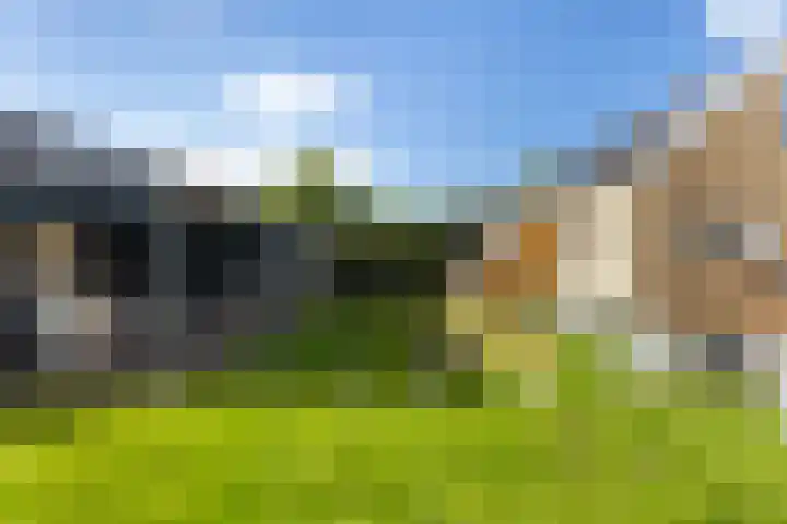 Mounewei 31 Twijzel thumbnail 32