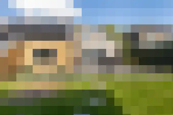 Mounewei 31 Twijzel thumbnail 33