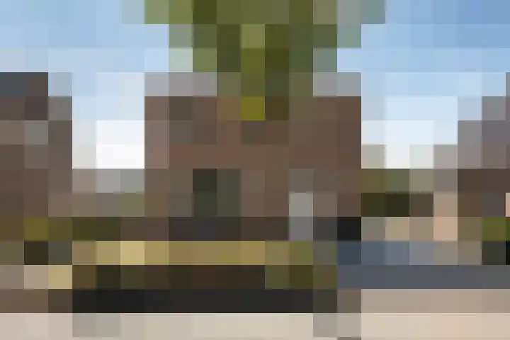 Mounewei 31 Twijzel thumbnail 4