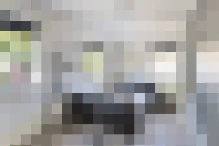 Mounewei 31 Twijzel thumbnail 42