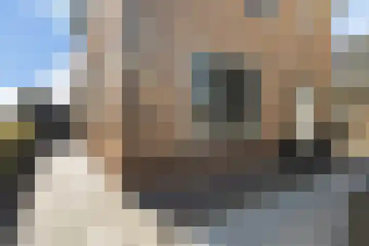 Mounewei 31 Twijzel thumbnail 5