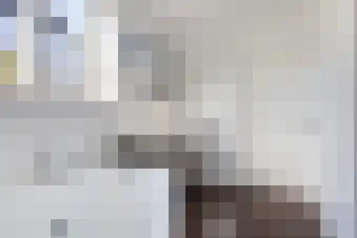 Mounewei 31 Twijzel thumbnail 53