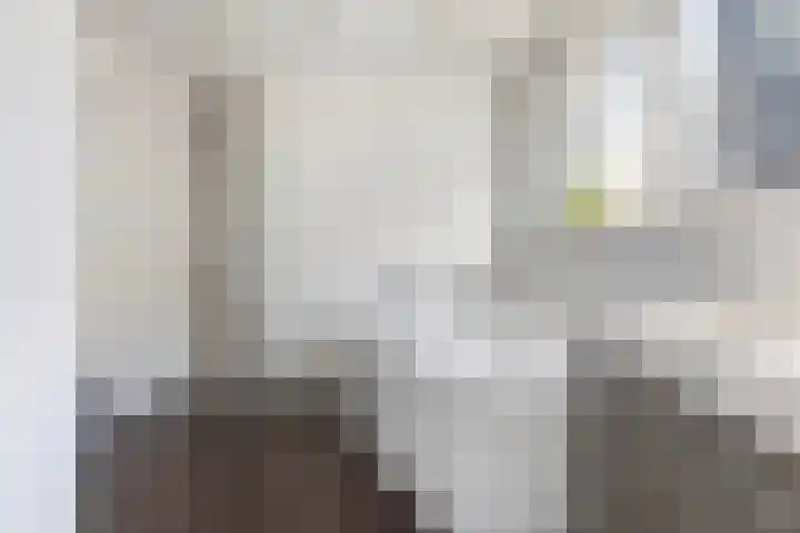 Mounewei 31 Twijzel thumbnail 54
