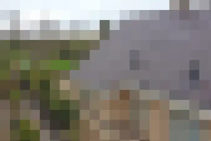 Mounewei 59 B Twijzel thumbnail 41