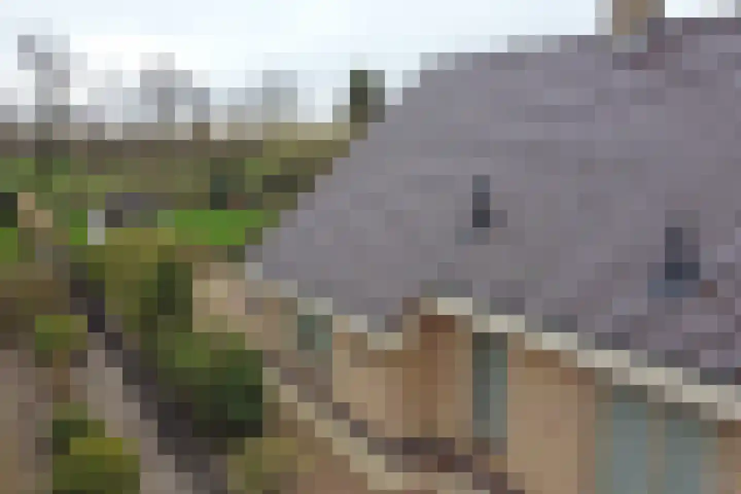 Mounewei 59 B Twijzel thumbnail 41