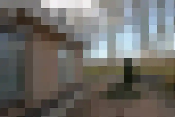 Mounewei 59 B Twijzel thumbnail 42