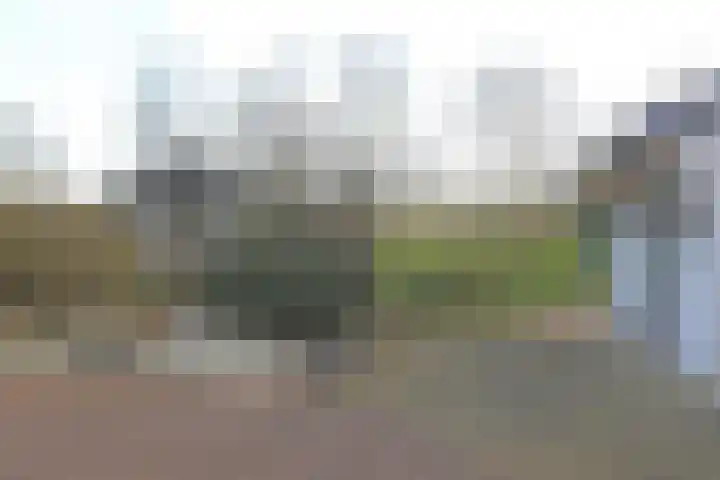 Mounewei 59 B Twijzel thumbnail 43
