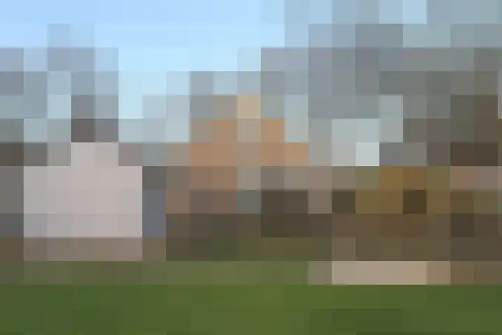Mounewei 59 B Twijzel thumbnail 44
