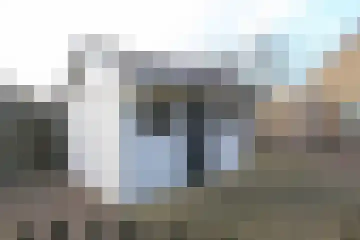 Mounewei 59 B Twijzel thumbnail 45