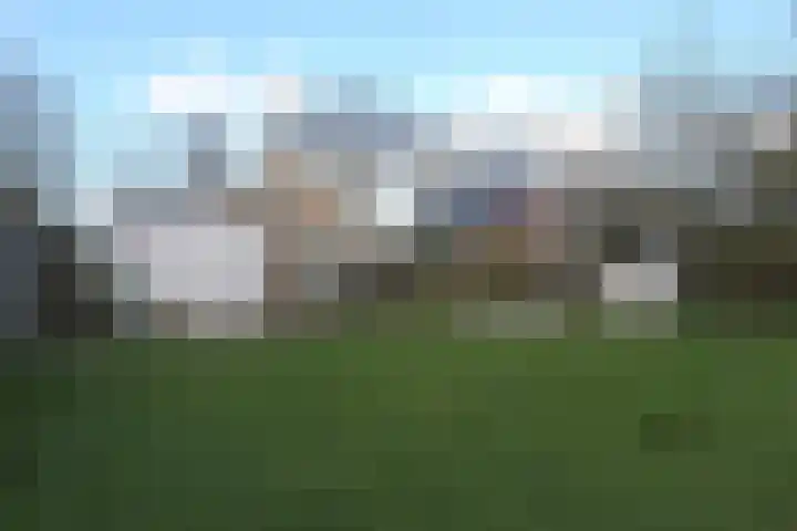 Mounewei 59 B Twijzel thumbnail 47