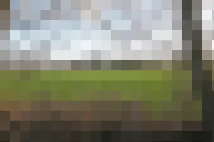 Mounewei 59 B Twijzel thumbnail 48