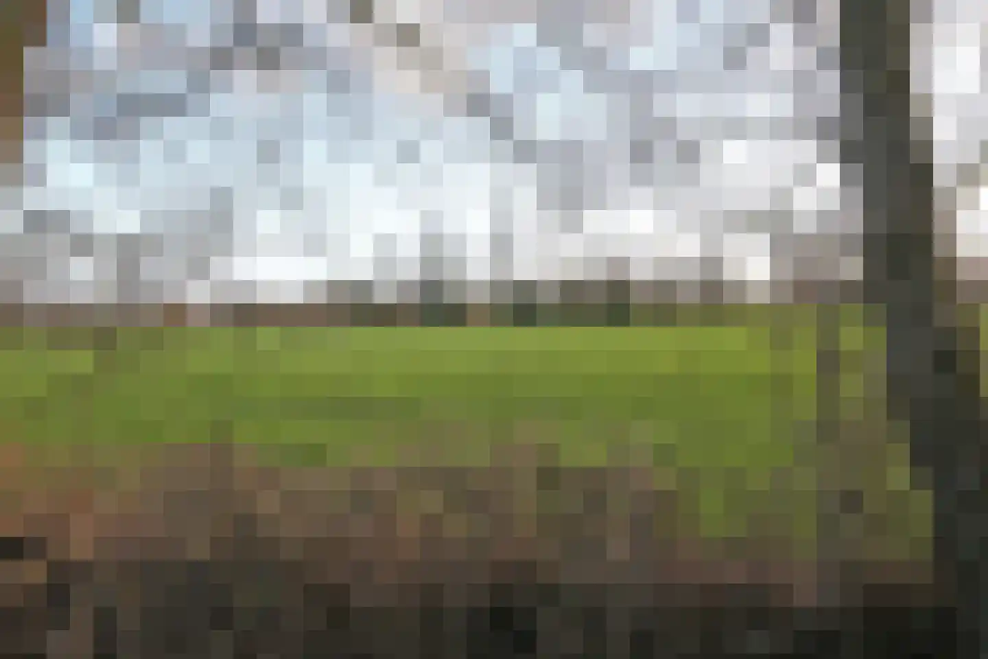 Mounewei 59 B Twijzel thumbnail 48