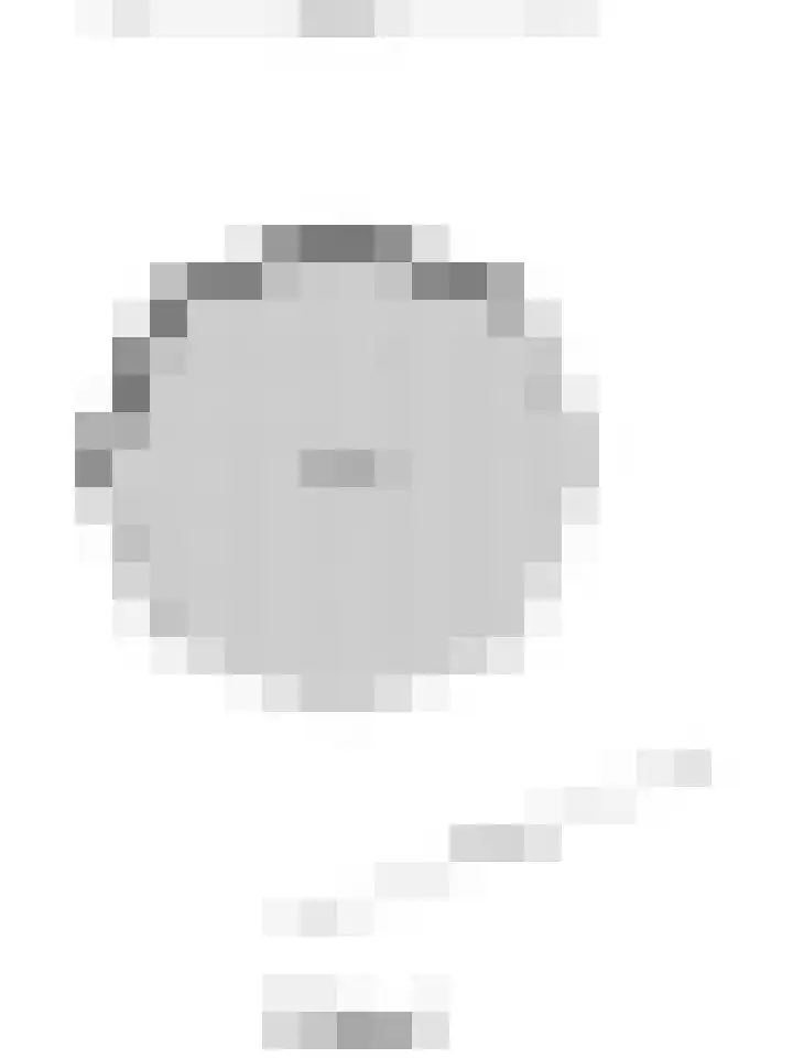 Mounewei 59 B Twijzel thumbnail 55