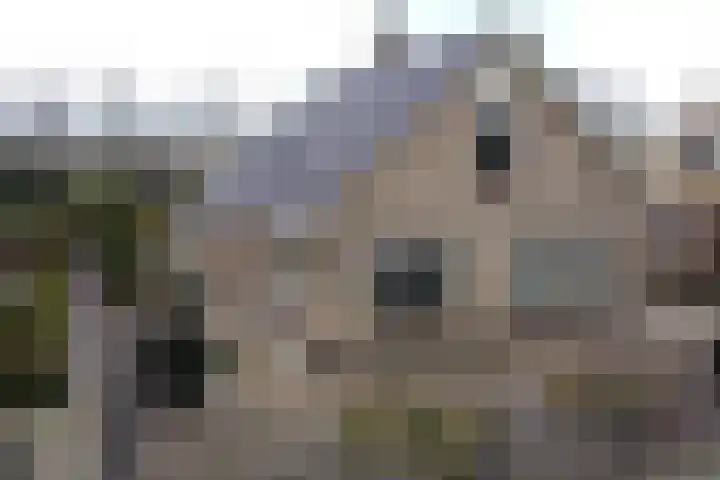 Mounewei 59 B Twijzel thumbnail 6