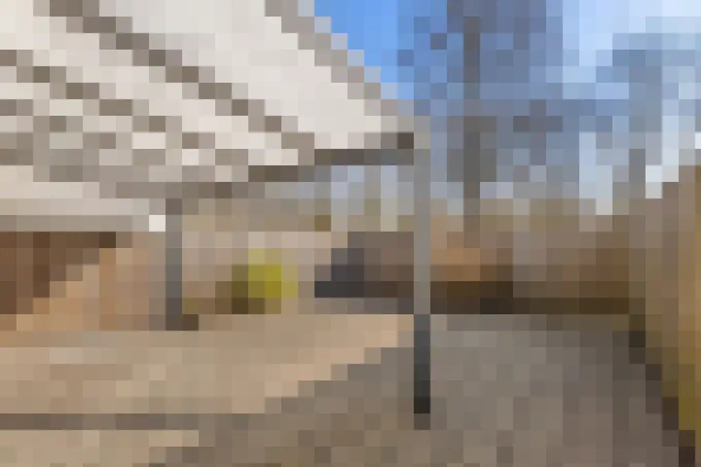 Moureauveld 17 Roosendaal thumbnail 34
