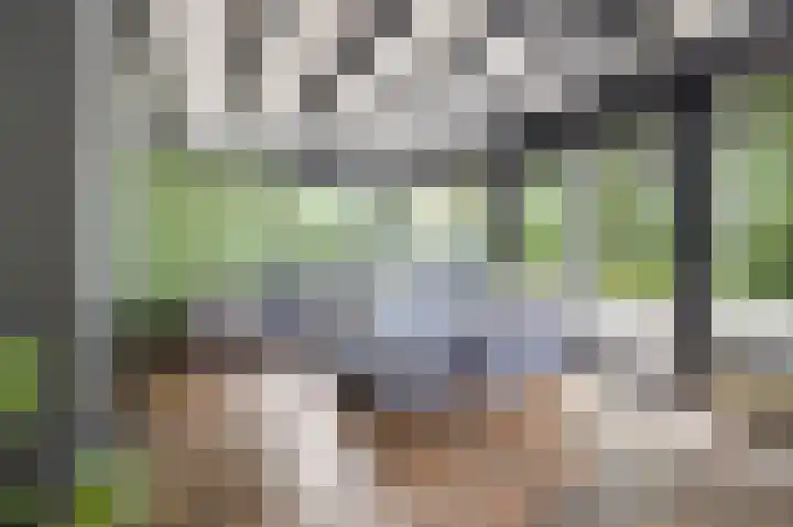 Moutberg 17 Sprundel thumbnail 10