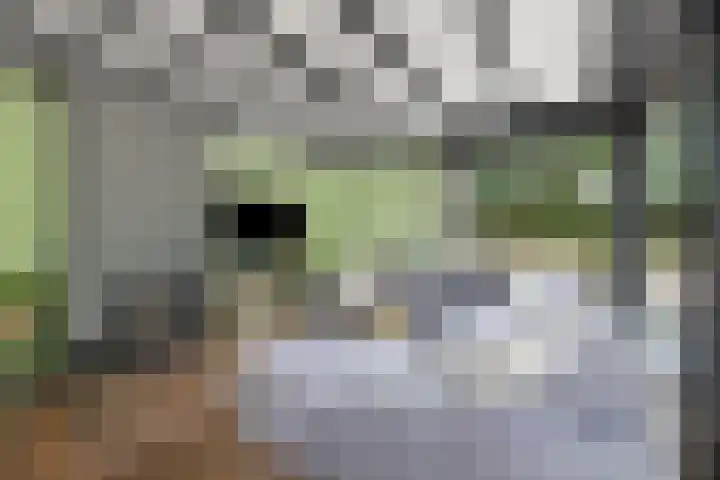 Moutberg 17 Sprundel thumbnail 11
