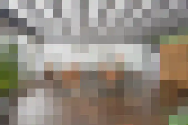 Moutberg 17 Sprundel thumbnail 12