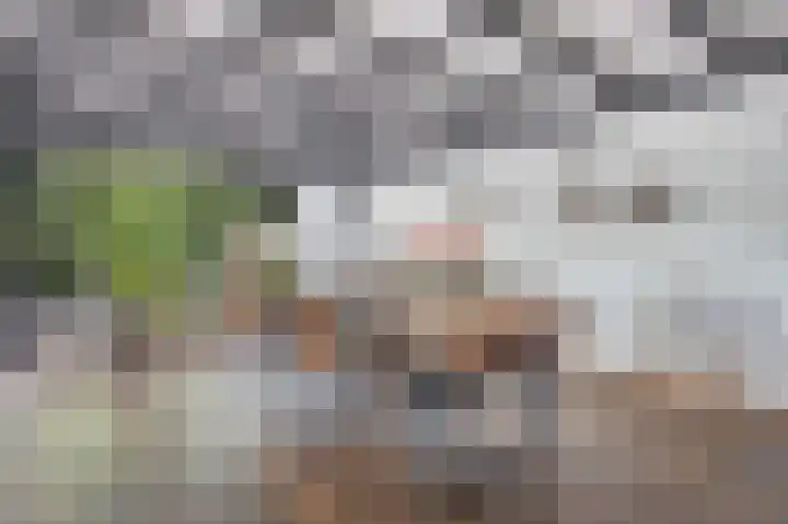 Moutberg 17 Sprundel thumbnail 13