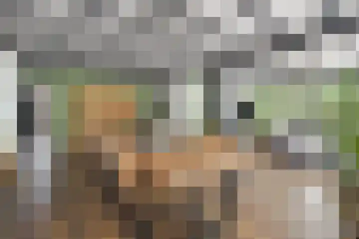 Moutberg 17 Sprundel thumbnail 14