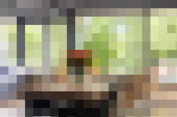 Moutberg 17 Sprundel thumbnail 15