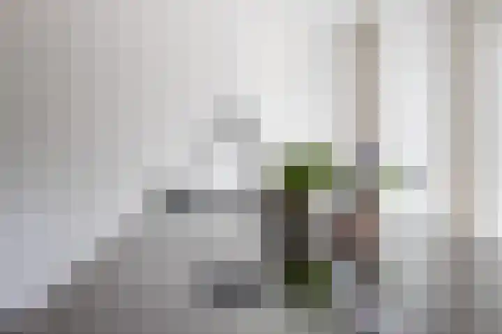 Moutberg 17 Sprundel thumbnail 18