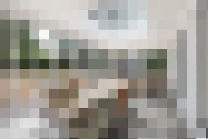 Moutberg 17 Sprundel thumbnail 22