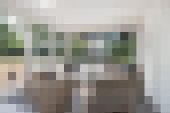 Moutberg 17 Sprundel thumbnail 23