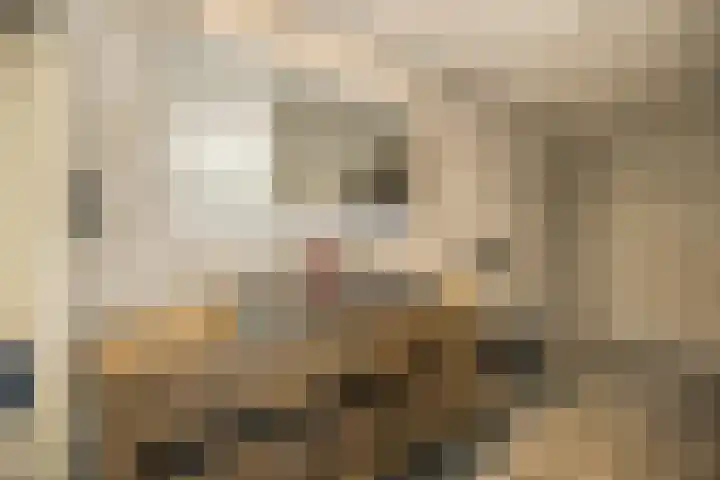 Moutberg 17 Sprundel thumbnail 28