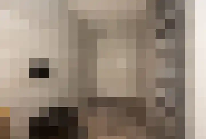 Moutberg 17 Sprundel thumbnail 30