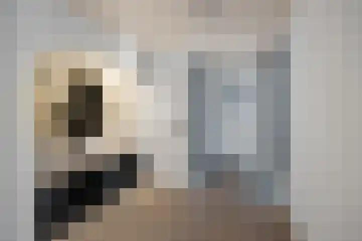 Moutberg 17 Sprundel thumbnail 31
