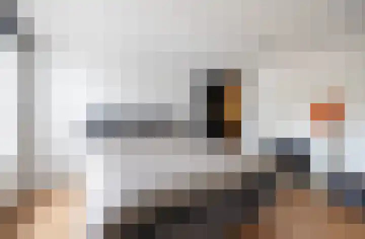 Moutberg 17 Sprundel thumbnail 33