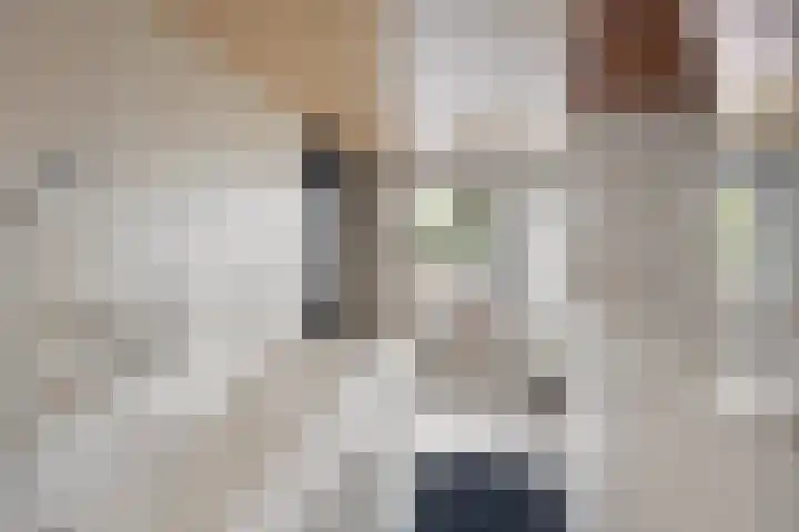 Moutberg 17 Sprundel thumbnail 38