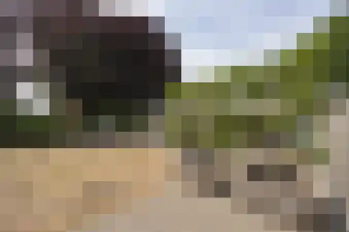 Moutberg 17 Sprundel thumbnail 43