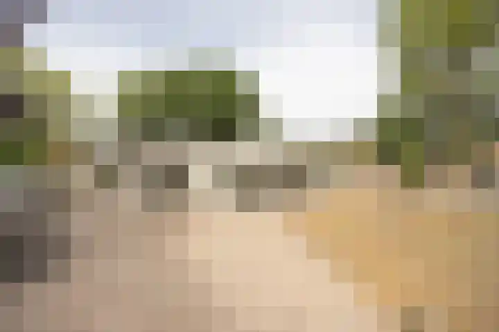 Moutberg 17 Sprundel thumbnail 44