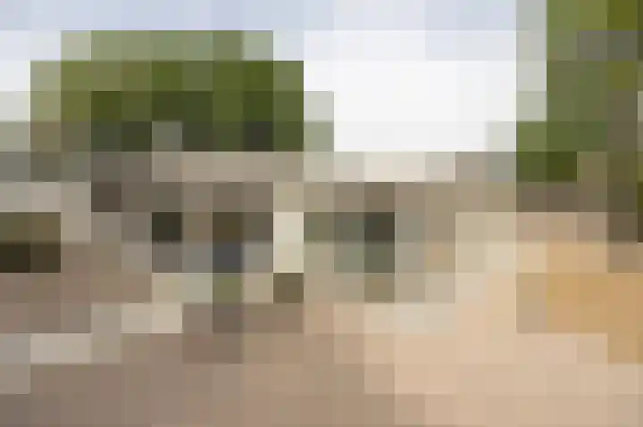Moutberg 17 Sprundel thumbnail 46