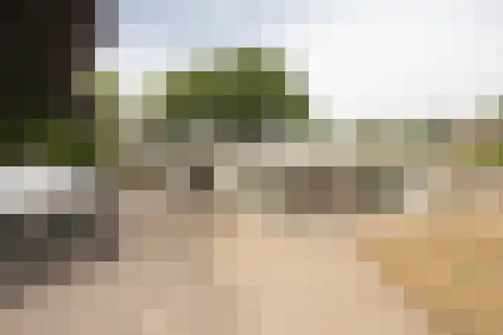 Moutberg 17 Sprundel thumbnail 47