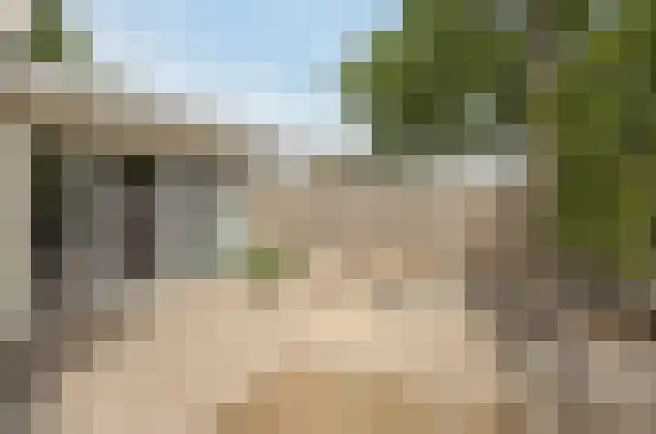 Moutberg 17 Sprundel thumbnail 48