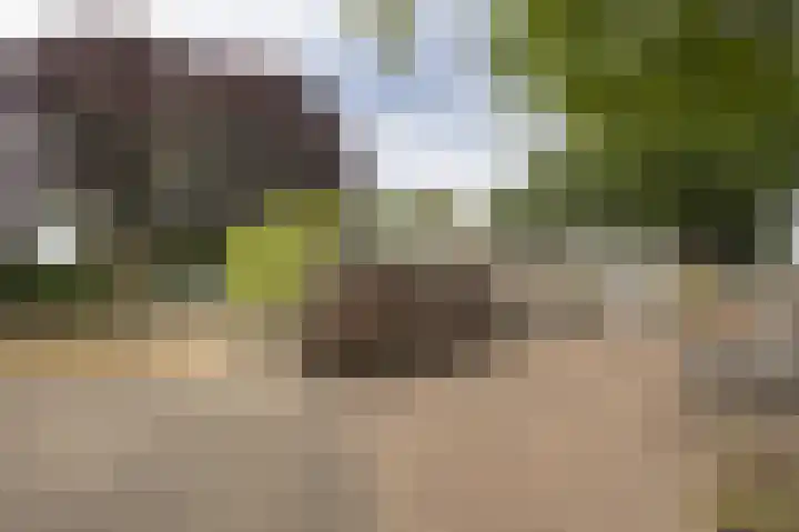 Moutberg 17 Sprundel thumbnail 49