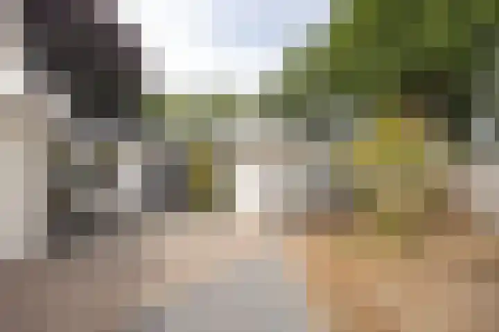 Moutberg 17 Sprundel thumbnail 5