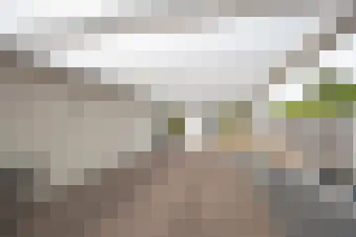 Moutberg 17 Sprundel thumbnail 50