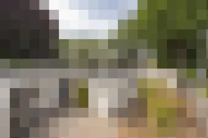 Moutberg 17 Sprundel thumbnail 51