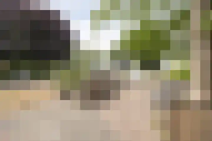 Moutberg 17 Sprundel thumbnail 52