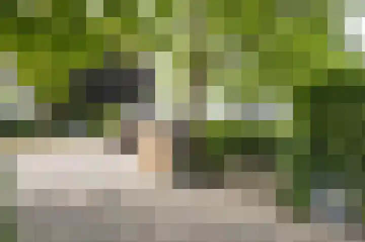 Moutberg 17 Sprundel thumbnail 53