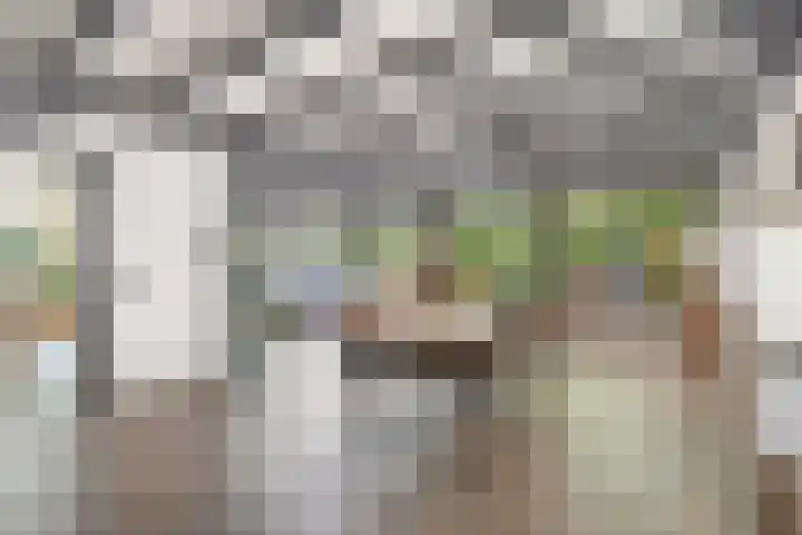 Moutberg 17 Sprundel thumbnail 8